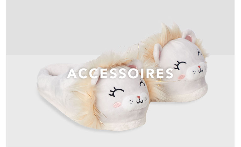 Accessoires